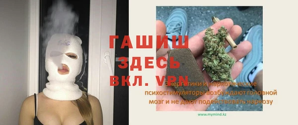 стаф Аркадак