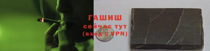 стаф Аркадак