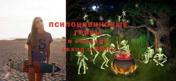 стаф Аркадак