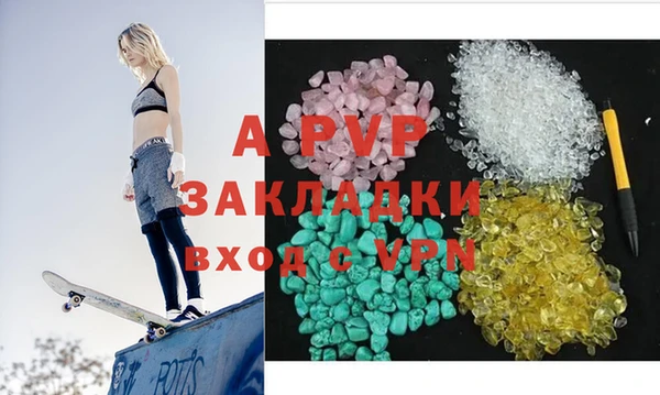 стаф Аркадак