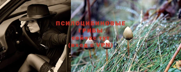 дурь Арсеньев