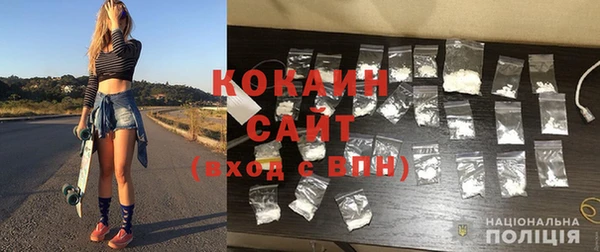 стаф Аркадак
