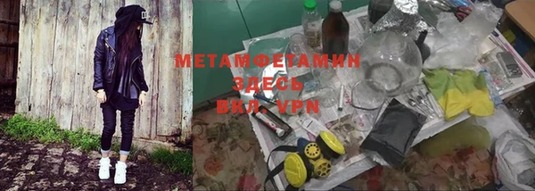 стаф Аркадак