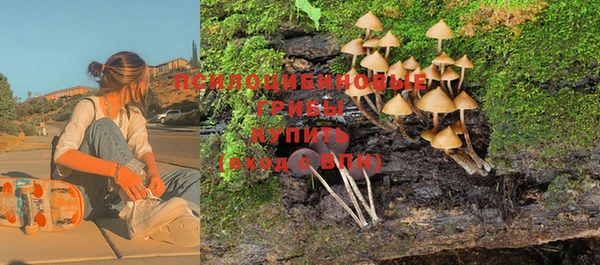 дурь Арсеньев