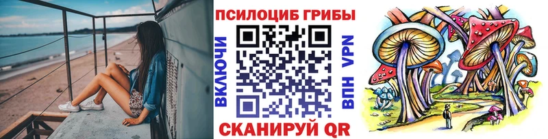 Галлюциногенные грибы Cubensis darknet как зайти Пустошка MEGA зеркало